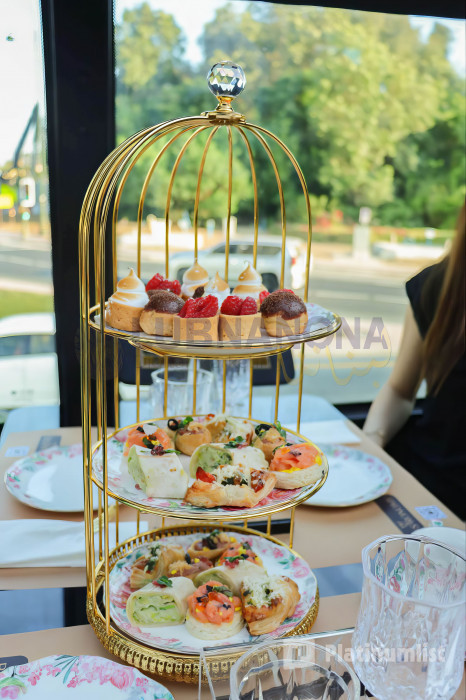 BusTronomy Dubai experiences in Dubai: Gallery Photo zm4bvw BusTronomy Dubai experiences in Dubai: Gallery Photo zm4bvw