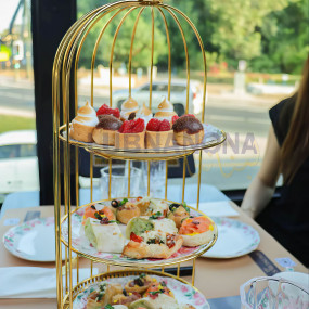 BusTronomy Dubai experiences in Dubai: Gallery Photo zm4bvw BusTronomy Dubai experiences in Dubai: Gallery Photo zm4bvw