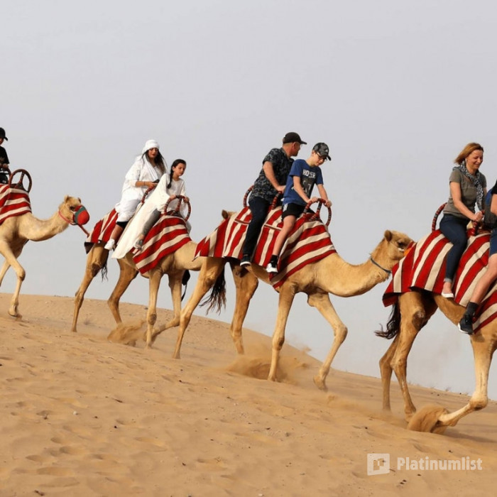Horse Riding with Open Buffet Dinner & Shows в Дубай: Галерея фото nk5420