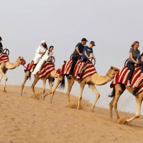 Horse Riding with Open Buffet Dinner & Shows in Dubai: Gallery Photo nk5420