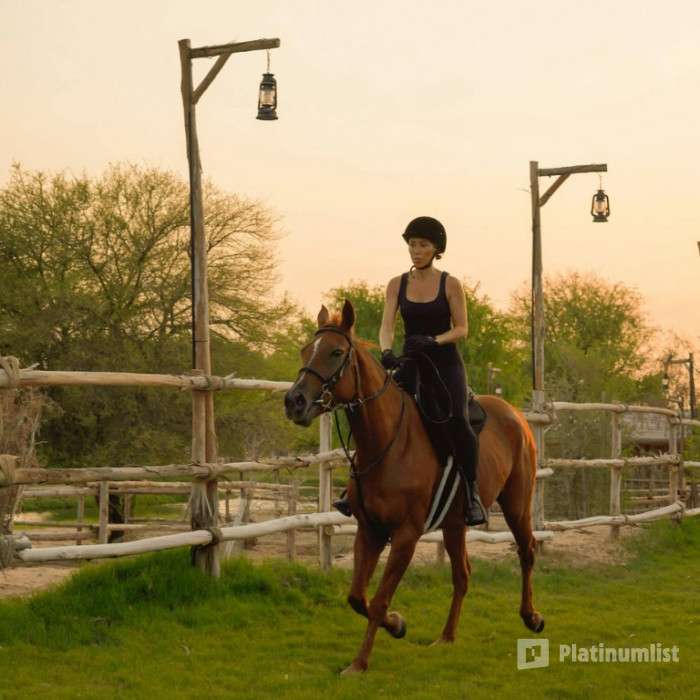 Horse Riding with Open Buffet Dinner & Shows в Дубай: Галерея фото n6by1x