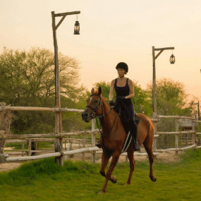 Horse Riding with Open Buffet Dinner & Shows in Dubai: Gallery Photo n6by1x