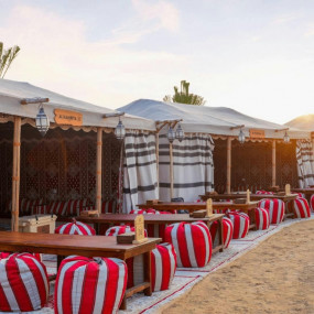 Photo from Horse Riding with Open Buffet Dinner & Shows in Dubai: Gallery Photo n14gyj