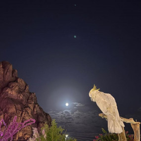 Photo from محمية حير عقدة in حائل: Gallery Photo 3r59r5