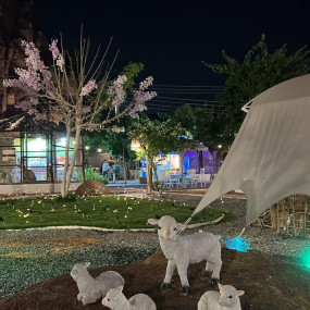 Photo from محمية حير عقدة in حائل: Gallery Photo 3b81pj