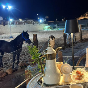 Photo from محمية حير عقدة in حائل: Gallery Photo zw5kjp