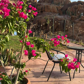 Photo from محمية حير عقدة in حائل: Gallery Photo zgk0r7