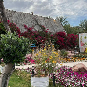 Photo from محمية حير عقدة in حائل: Gallery Photo 3jkxbj