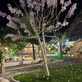 Photo from محمية حير عقدة in حائل: Gallery Photo 3x86xm