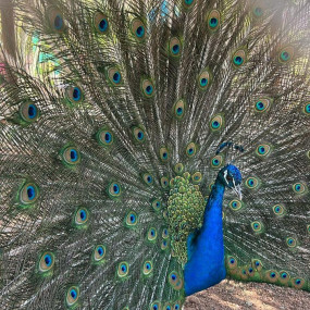 Photo from محمية حير عقدة in حائل: Gallery Photo 3qbw46