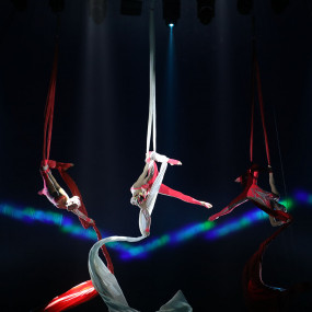 Photo from سيرك فونتانا في جدة in جدة: Gallery Photo 3y519r