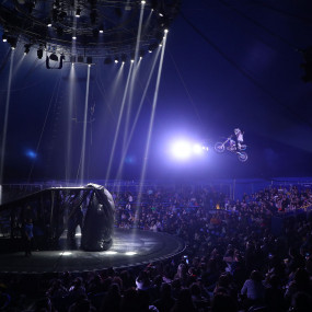 Photo from سيرك فونتانا في جدة in جدة: Gallery Photo nk5yxk