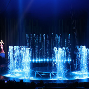 Photo from سيرك فونتانا في جدة in جدة: Gallery Photo n14qkp