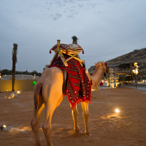 Abdulaziz Elmuanna In Ramlina in Riyadh: Gallery Photo 3b81xp