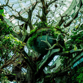 The Green Planet Dubai in Dubai: Gallery Photo 3dk4jb