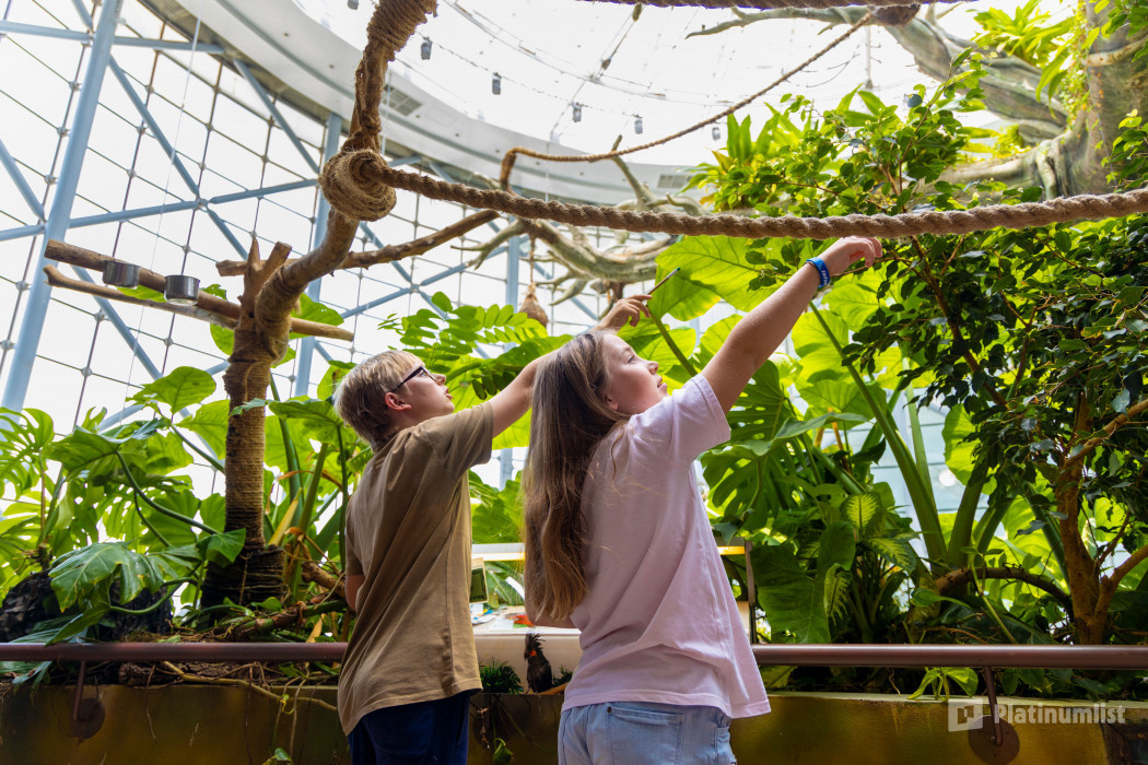 The Green Planet Dubai in Dubai: Gallery Photo z7ybdg