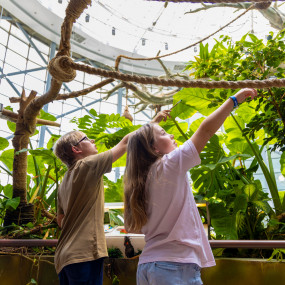 The Green Planet Dubai in Dubai: Gallery Photo z7ybdg