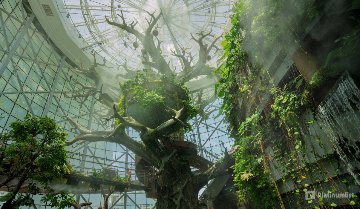 The Green Planet Dubai in Dubai: Gallery Photo 3r598v