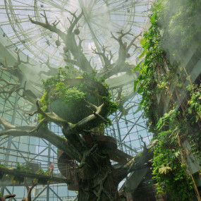 The Green Planet Dubai in Dubai: Gallery Photo 3r598v