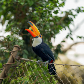 Photo from The Green Planet Dubai in Dubai: Gallery Photo z910ep