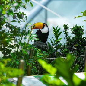 Photo from The Green Planet Dubai in Dubai: Gallery Photo n08jqq