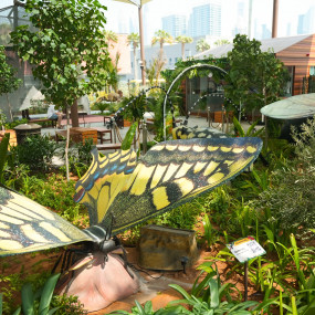 Photo from The Green Planet Dubai in Dubai: Gallery Photo zv5qj7