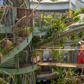 Photo from The Green Planet Dubai in Dubai: Gallery Photo 38vm7r