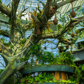 Photo from The Green Planet Dubai in Dubai: Gallery Photo 3x8648