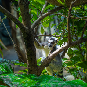 Photo from The Green Planet Dubai in Dubai: Gallery Photo 3y51rq