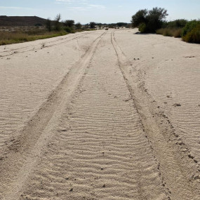 Photo from المسير الخلوي in الرياض: Gallery Photo n2dvkz