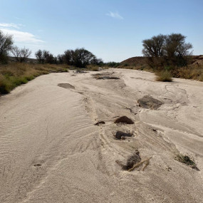 Photo from المسير الخلوي in الرياض: Gallery Photo 3dw9kz