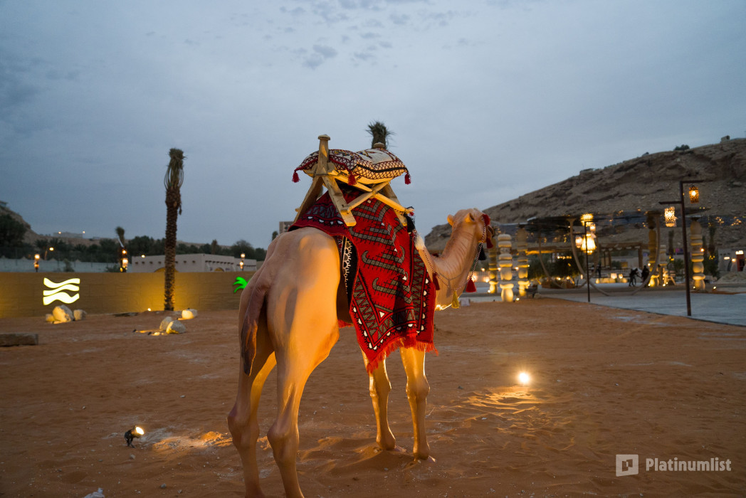 Meteb Alshalan In Ramlina in Riyadh in Riyadh: Gallery Photo 3qeoe1