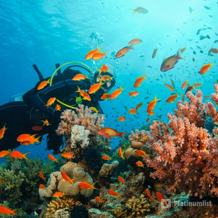 zg4x5r استديو الصور :خصب في تجربة الغوص في خصب zg4x5r استديو الصور :خصب في تجربة الغوص في خصب