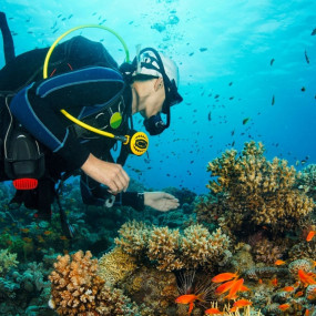 zodpr6 استديو الصور :خصب في تجربة الغوص في خصب zodpr6 استديو الصور :خصب في تجربة الغوص في خصب