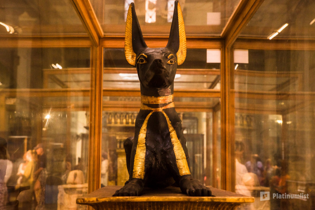 From Hurghada: Full-Day Cairo Tour of Pyramids, Sphinx and Museum in Hurghada: Gallery Photo z94rk8