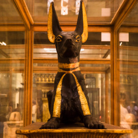 Photo de From Hurghada: Full-Day Cairo Tour of Pyramids, Sphinx, Museum and Bazaar dans Hurghada : Galerie Photo z94rk8