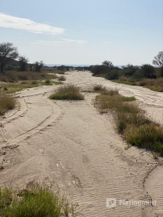 zvvw0z استديو الصور :الرياض في مخيم صحارى zvvw0z استديو الصور :الرياض في مخيم صحارى