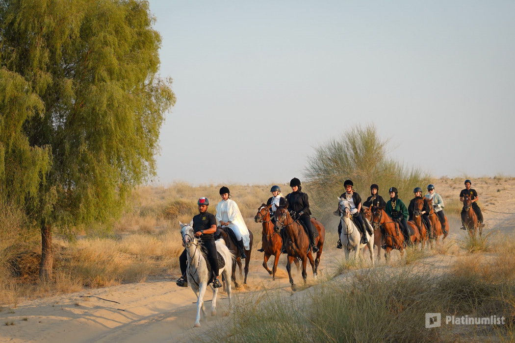 Horse Riding at Al Marmoom Oasis With Transfer in Dubai: Gallery Photo zm0pmy