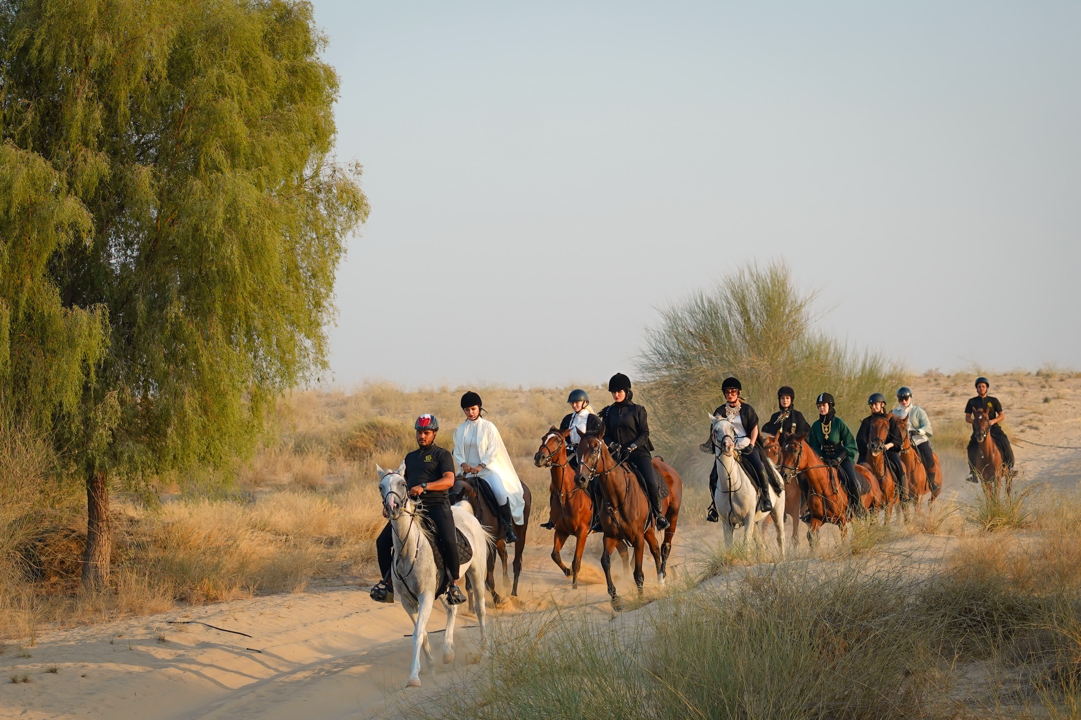 Photo from Horse Riding at Al Marmoom Oasis With Transfer in Dubai: Gallery Photo zm0pmy