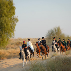 Horse Riding at Al Marmoom Oasis With Transfer in Dubai: Gallery Photo zm0pmy