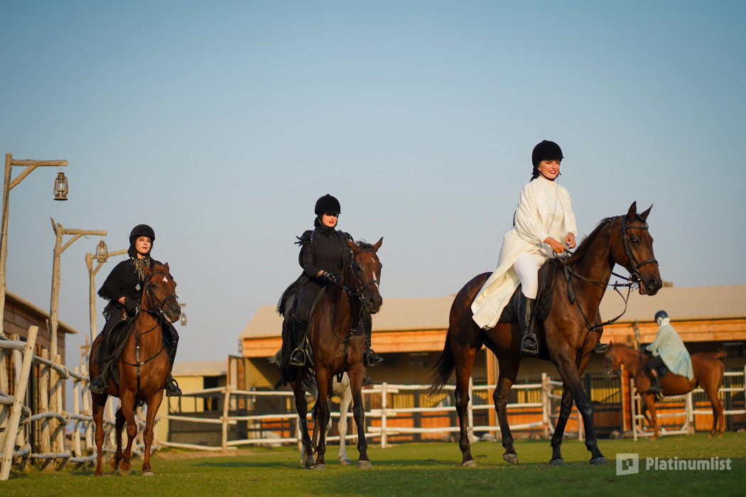 Horse Riding at Al Marmoom Oasis With Transfer in Dubai: Gallery Photo n0vkrw