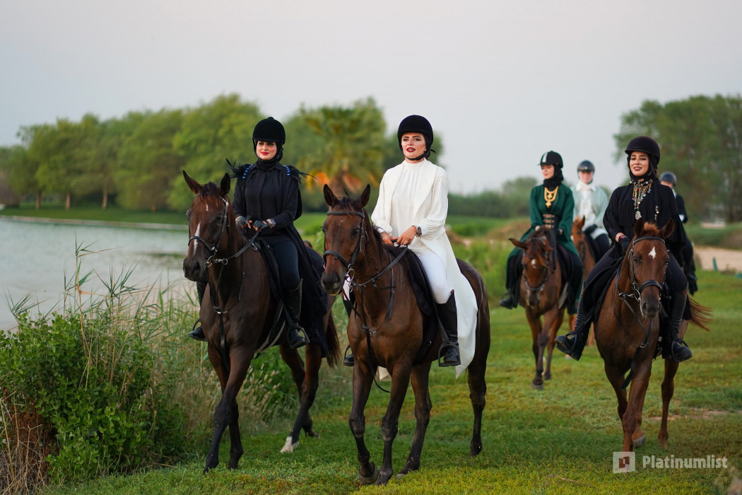 Horse Riding at Al Marmoom Oasis With Transfer in Dubai: Gallery Photo 38y1gj Horse Riding at Al Marmoom Oasis With Transfer in Dubai: Gallery Photo 38y1gj
