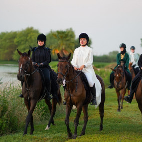 Horse Riding at Al Marmoom Oasis With Transfer in Dubai: Gallery Photo 38y1gj