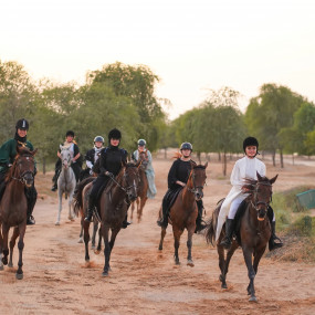 Photo from Horse Riding at Al Marmoom Oasis With Transfer in Dubai: Gallery Photo 3pjgmx