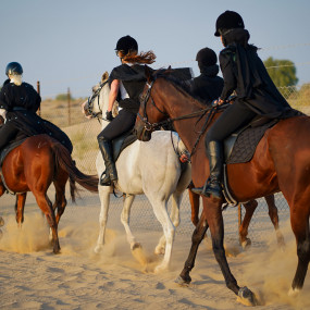 Photo from Horse Riding at Al Marmoom Oasis With Transfer in Dubai: Gallery Photo zg4xmy