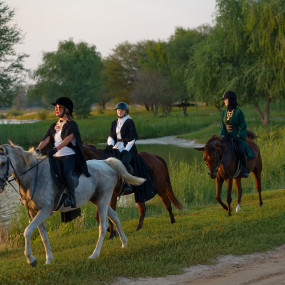 Photo from Horse Riding at Al Marmoom Oasis With Transfer in Dubai: Gallery Photo 3xv5b7