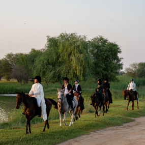 Photo from Horse Riding at Al Marmoom Oasis With Transfer in Dubai: Gallery Photo n69jg9