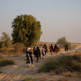 Photo from Horse Riding at Al Marmoom Oasis With Transfer in Dubai: Gallery Photo n26g7q