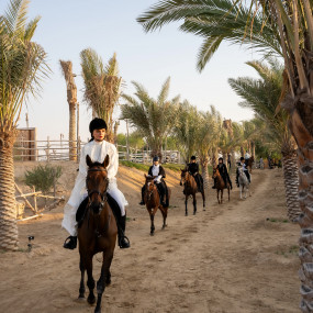 Photo from Horse Riding at Al Marmoom Oasis With Transfer in Dubai: Gallery Photo n15pdx