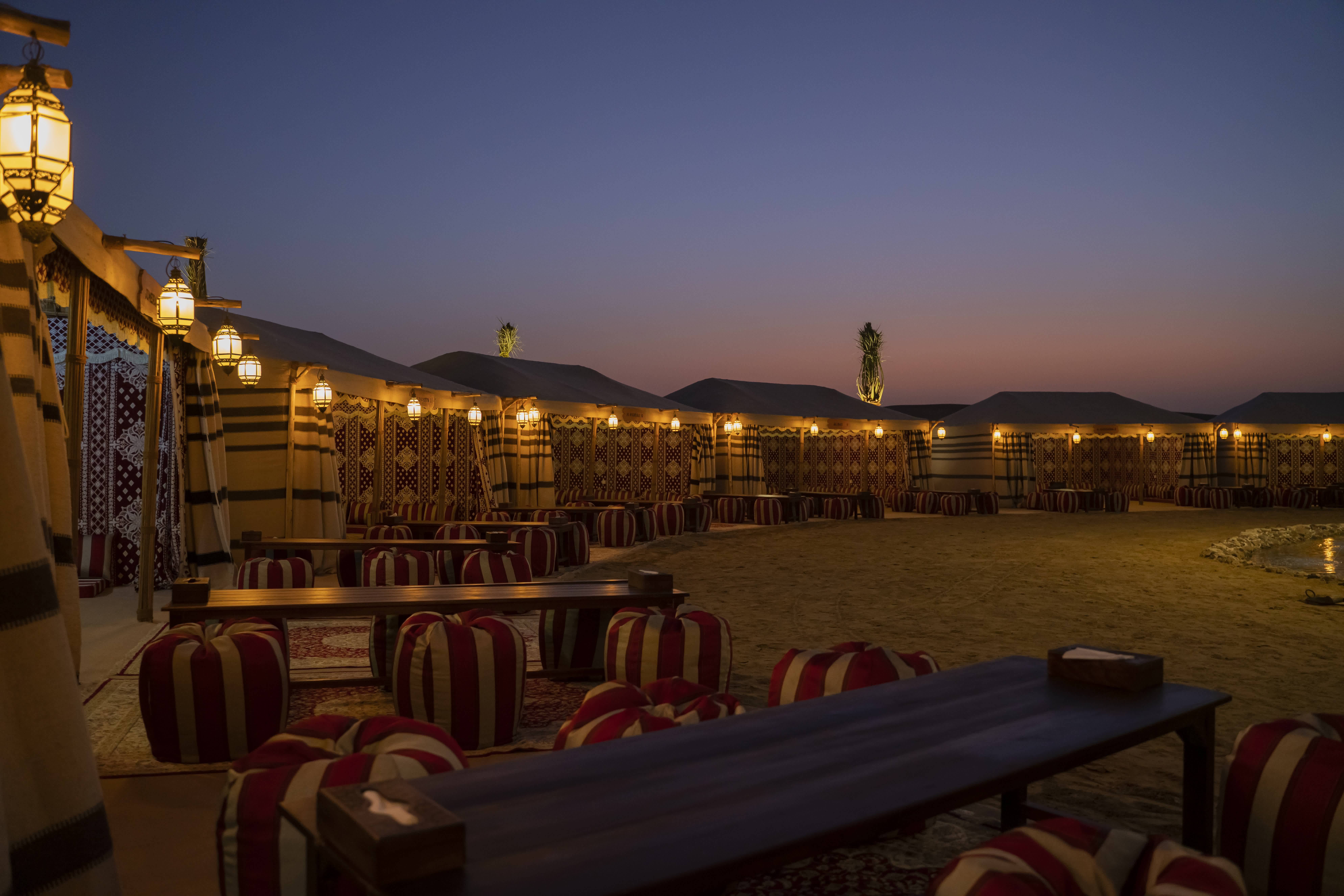 Photo from Premium Red Dunes Safari with Camel Ride & 3 Cuisines at Al Khayma Camp in Dubai: Gallery Photo n15pmx